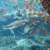 img_923675_37720326_0.jpg